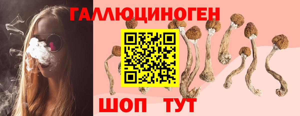 Галлюциногенные грибы ЛСД  сколько стоит  Кемерово  Вход с VPN 